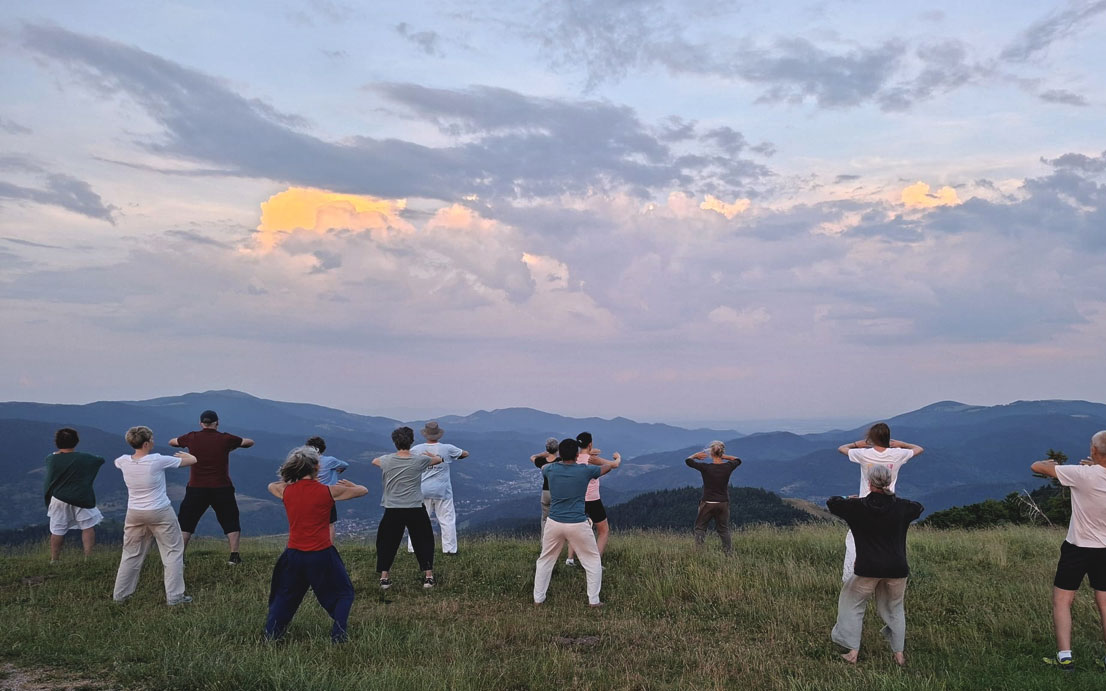 taichi